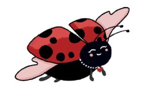 Coccinelle